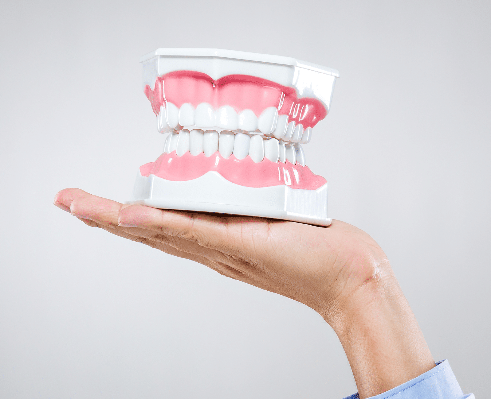 Main tenant un moule dentaire représentant une mâchoire avec dents et gencives.